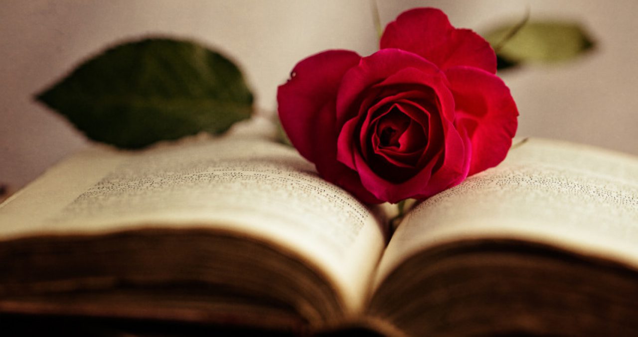 cropped-rose-and-book.jpg