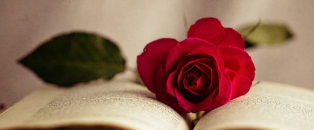 cropped-rose-and-book1.jpg