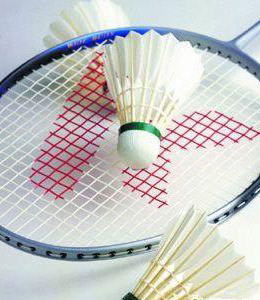 badmitton rackets and birdie