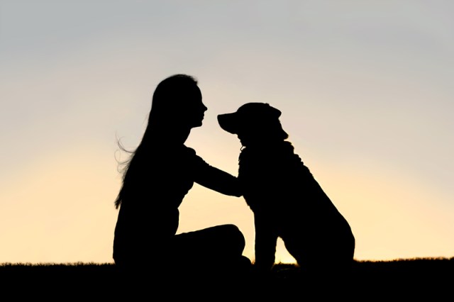 silhouette of girl and dog