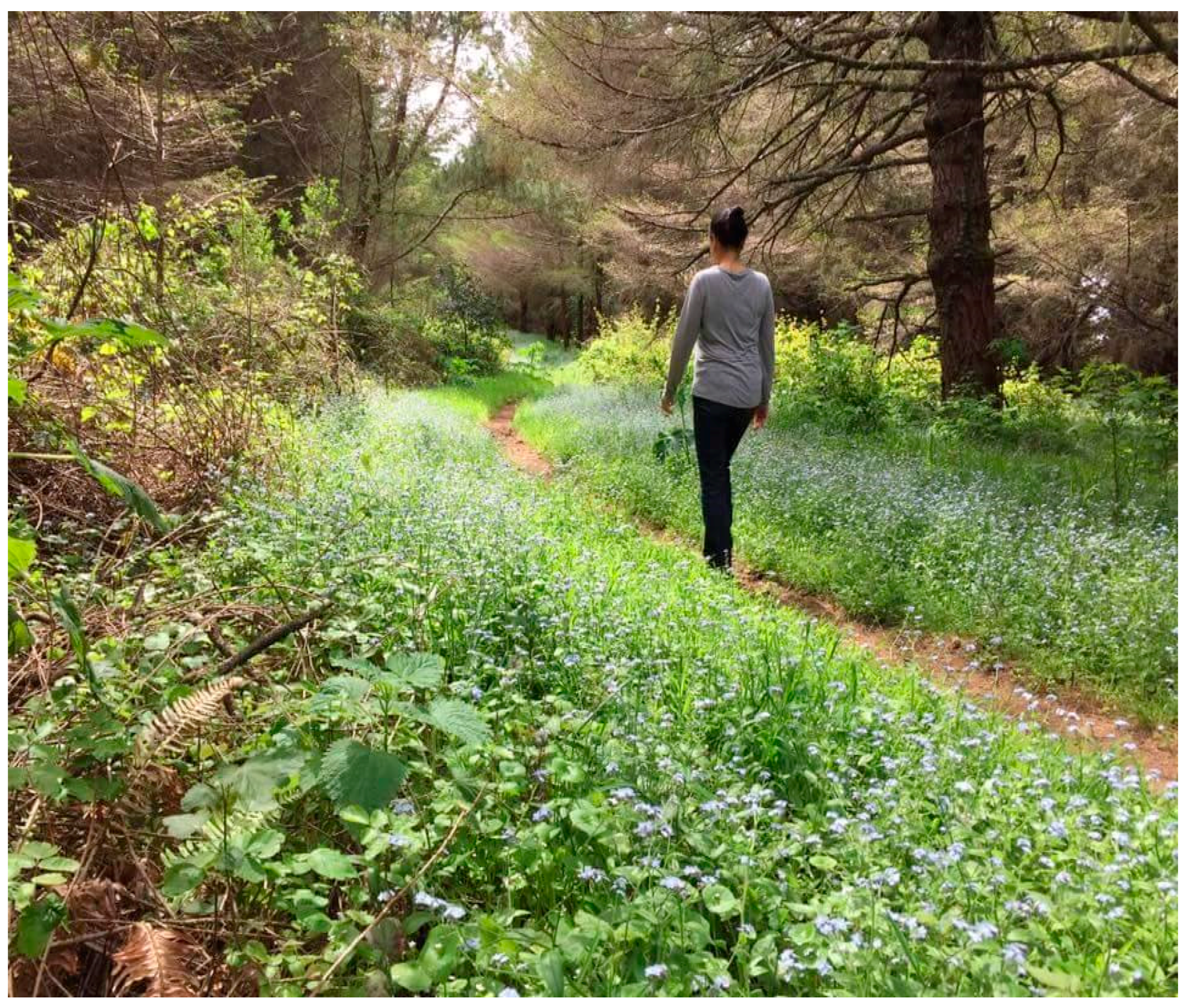 walking trail with woman