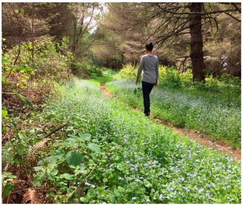 walking trail with woman