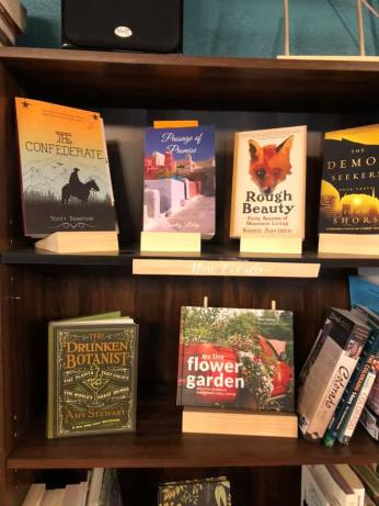 Passage of Promise midview bookstore pic