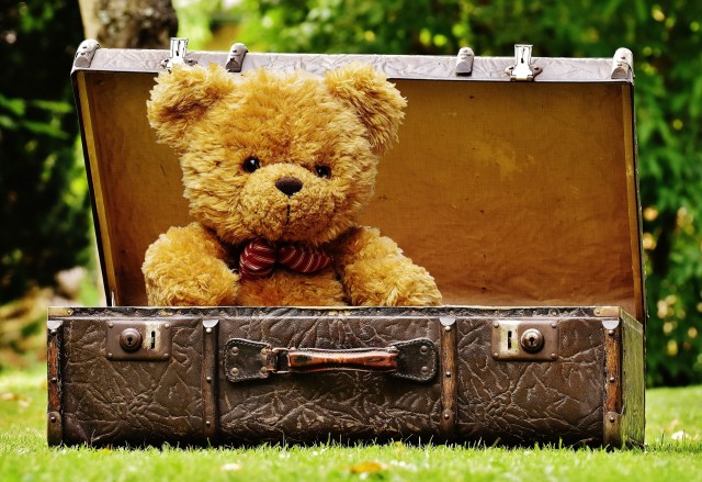 teddy bear in suitcase